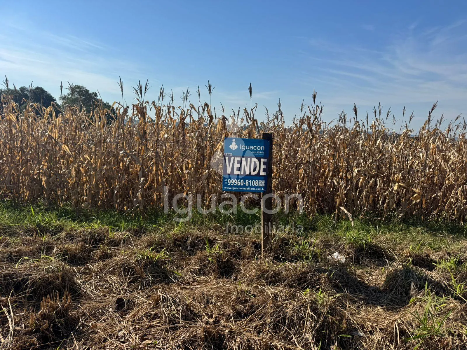 Terreno com 3.000m² no Jardim São Roque próximo ao Supermercado Consalter