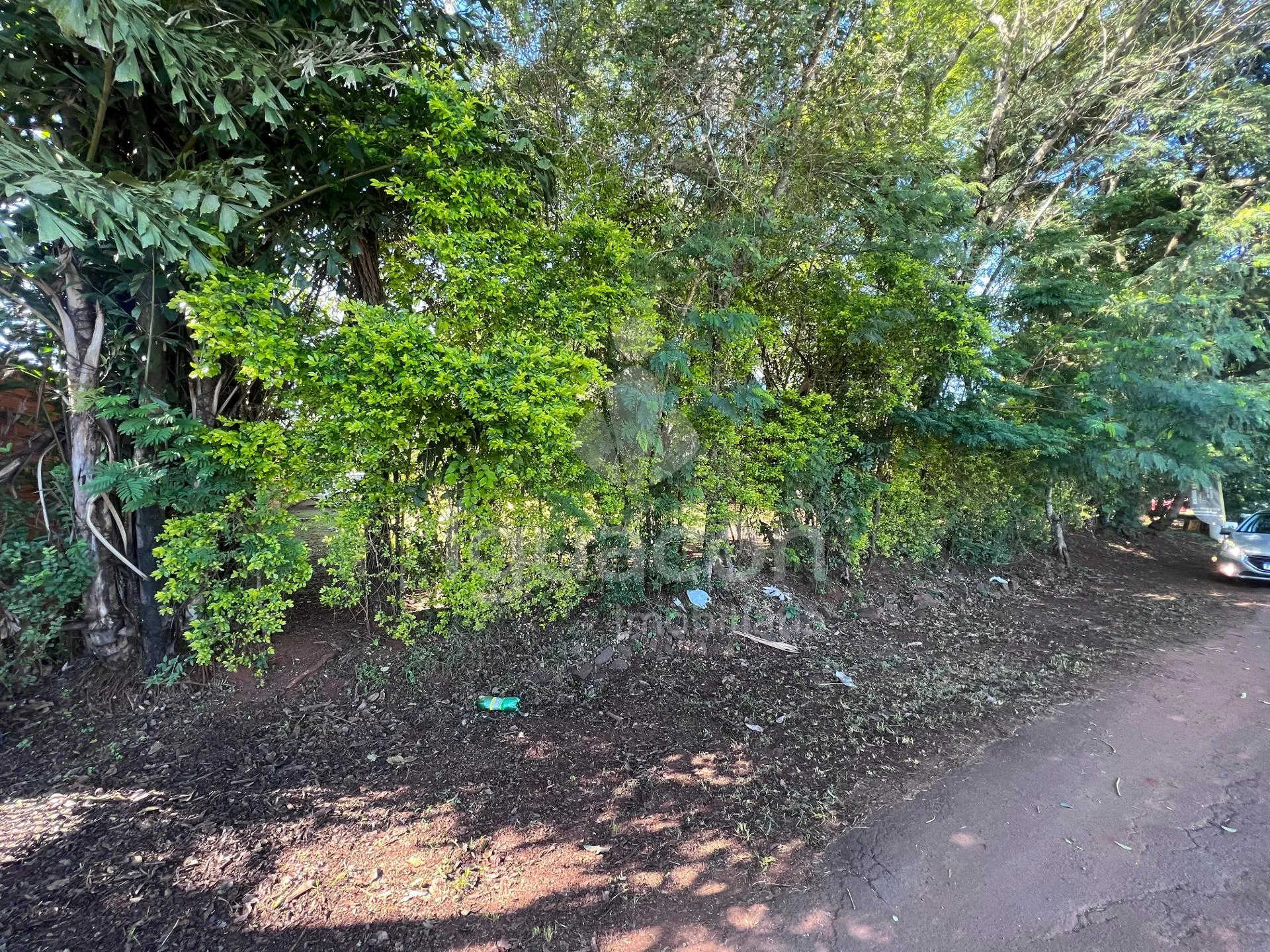 Terreno no Bairro Vila Carimã