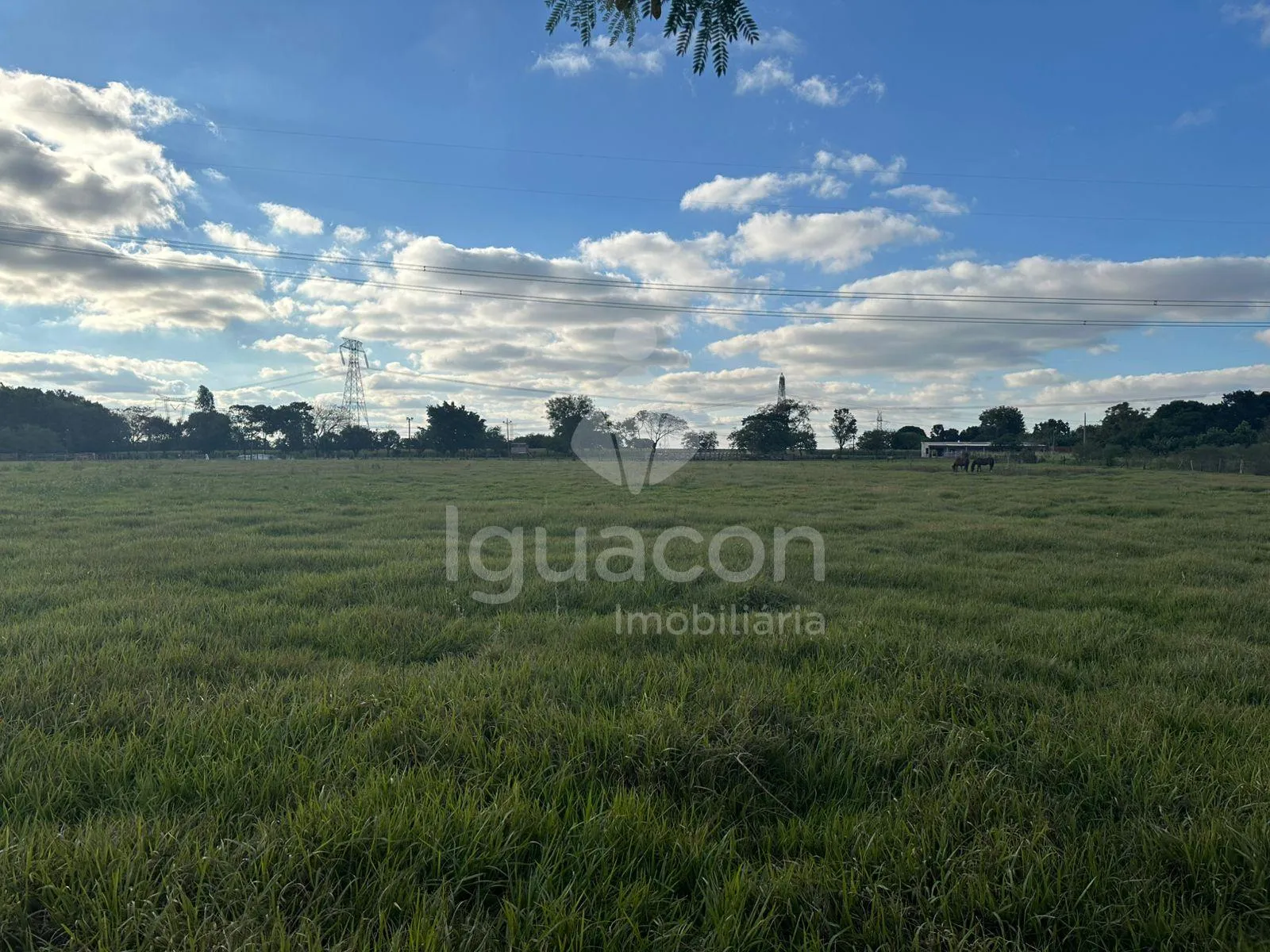 Chácara de 59.400m² no Jardim Cedro