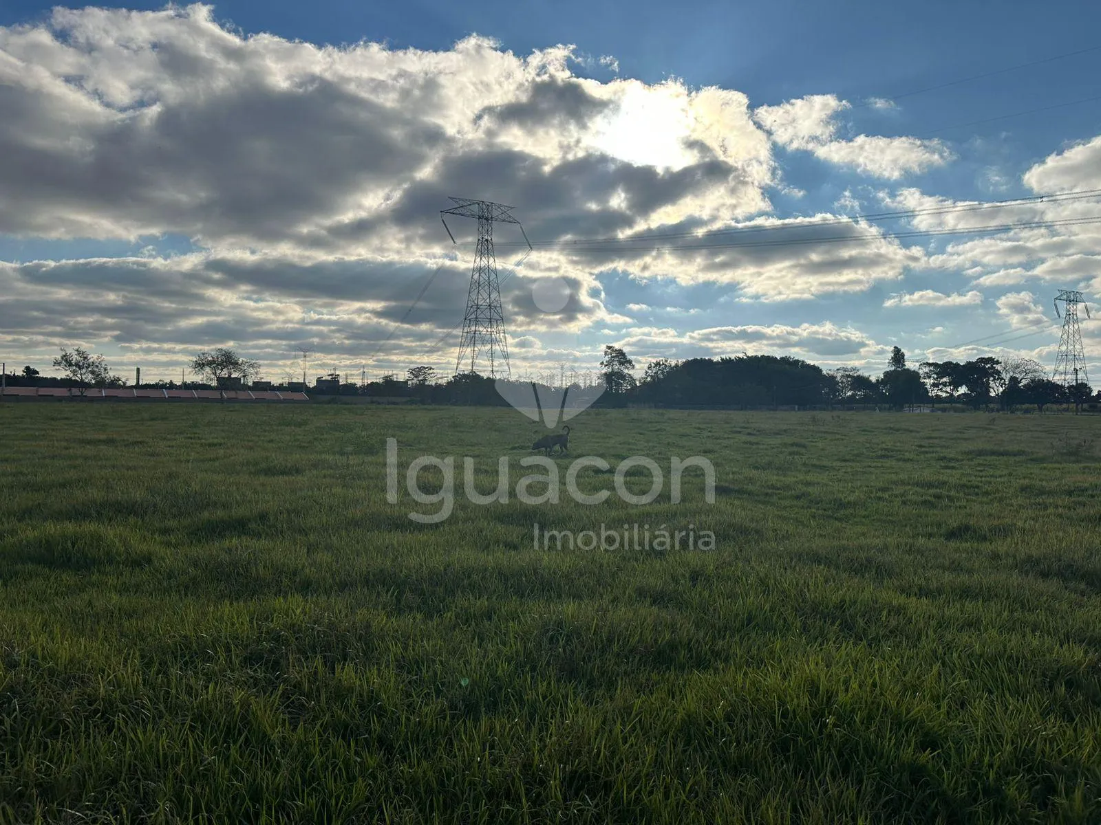 Chácara de 59.400m² no Jardim Cedro