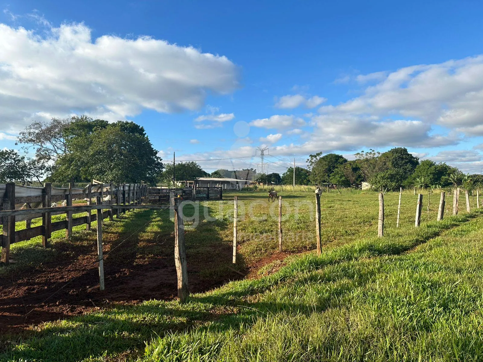 Chácara de 59.400m² no Jardim Cedro