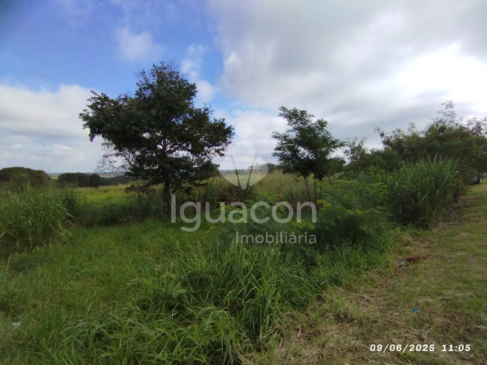 Terreno de 4.984m² á Venda no Avenida Tancredo Neves em Foz do Iguaçu
