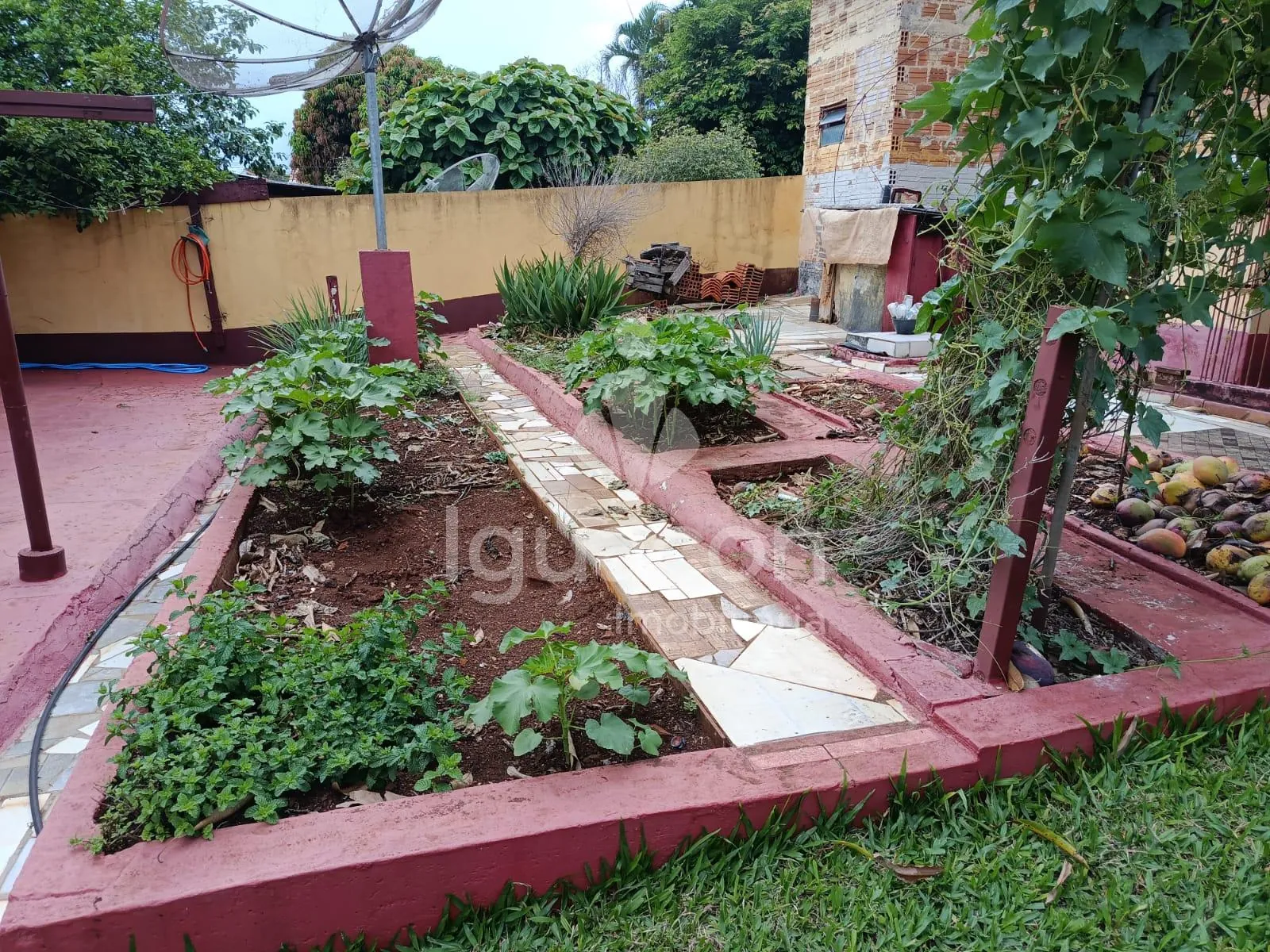 Casa com 03 Dormitórios com Churrasqueira e Piscina na Vila C Velha