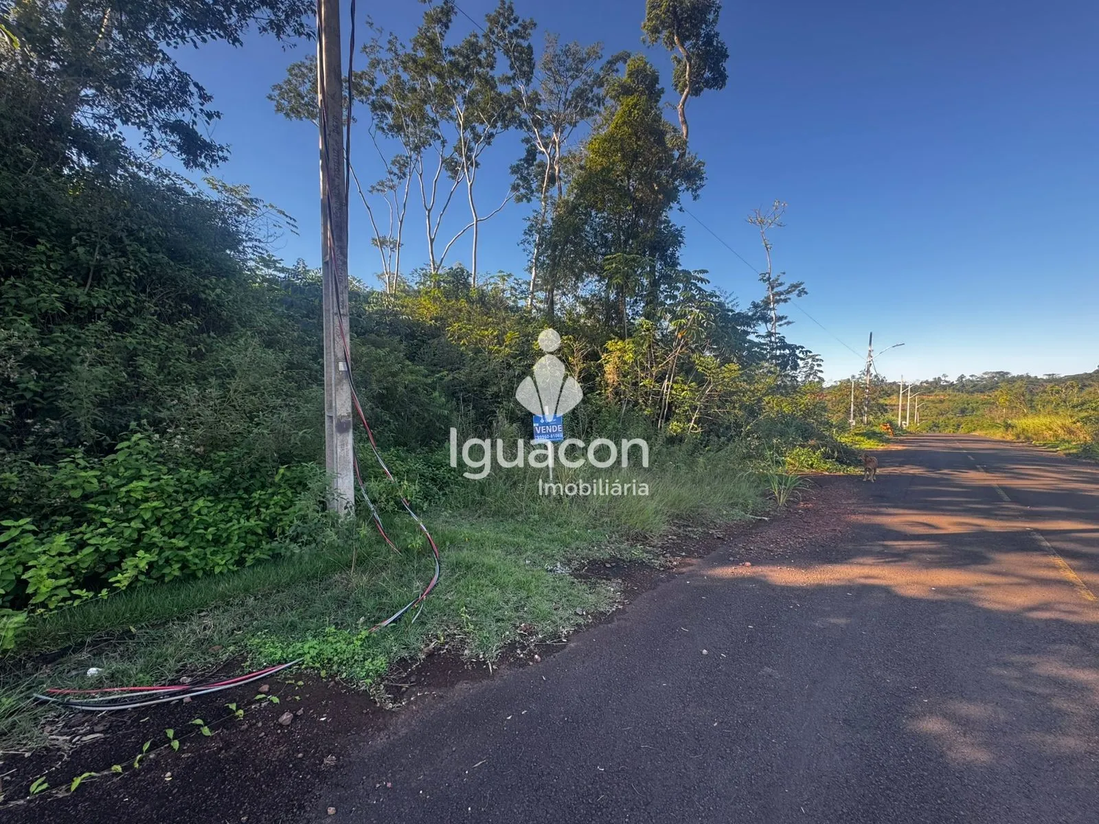 Terreno Ecoville I